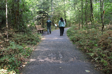 Bench along paved Oak Trail with interpretive display – parts of paved trail are uneven